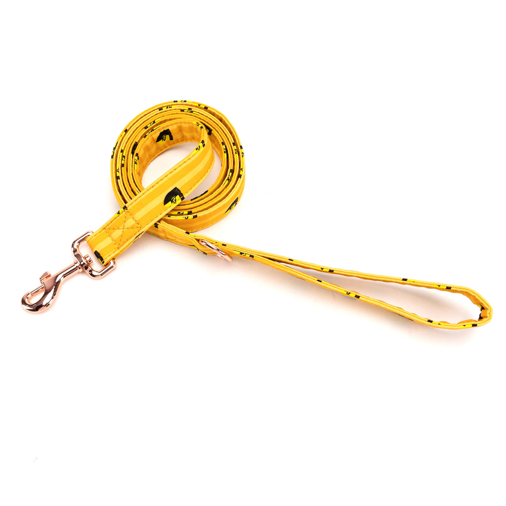 Dog Leash  Harry Potter Hufflepuff Pride main