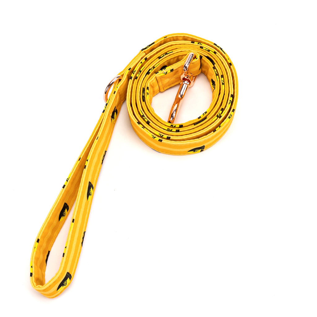 Dog Leash  Harry Potter Hufflepuff Pride rolled