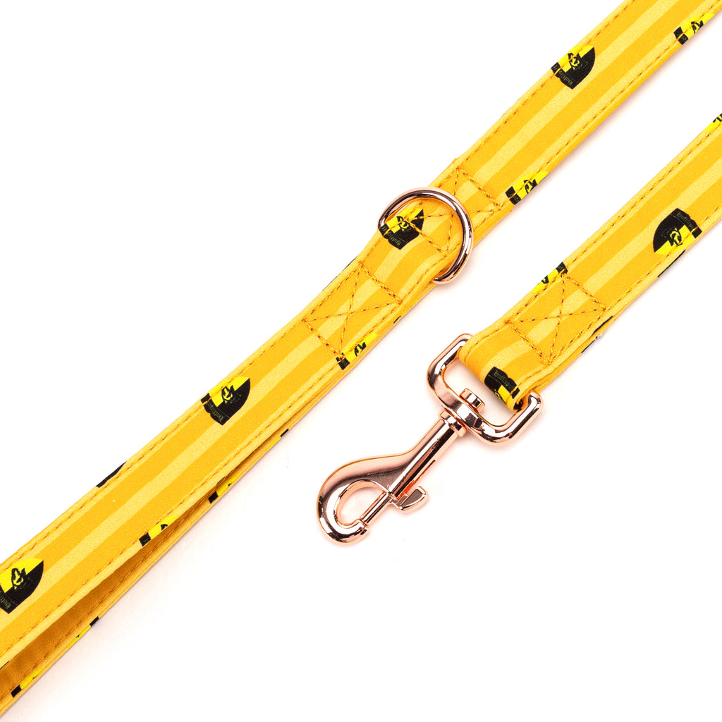 Dog Leash  Harry Potter Hufflepuff Pride hardware