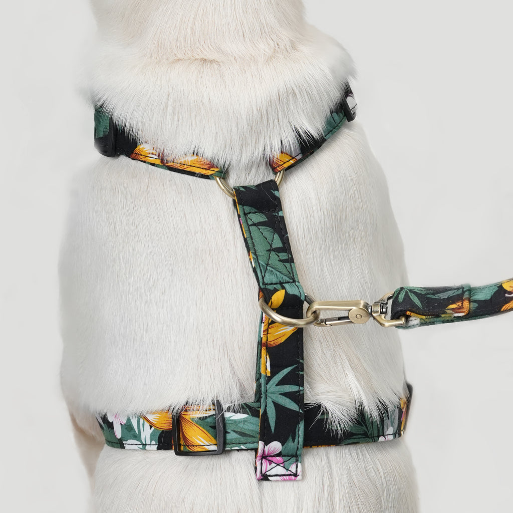 Dog wears 100% Cotton Adjustable No Pull Dog Harness Brass  Tropical Night back
