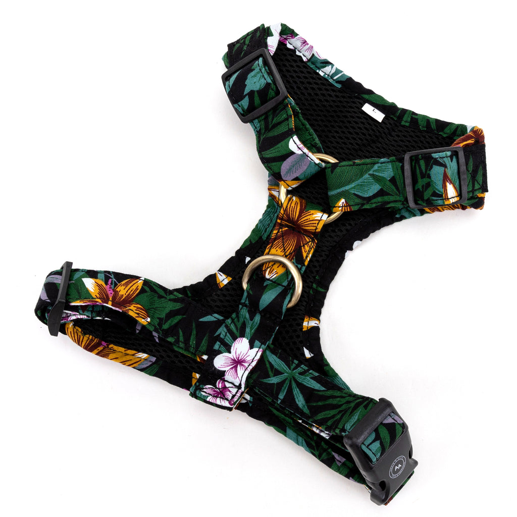 100% Cotton Adjustable No Pull Dog Harness Brass  Tropical Night back