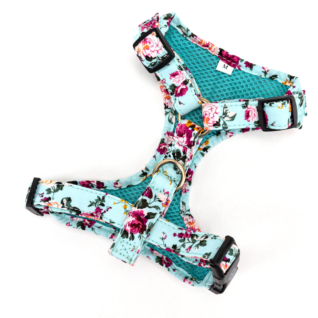 100% Cotton Adjustable No Pull Dog Harness Brass Bouquet Blue back