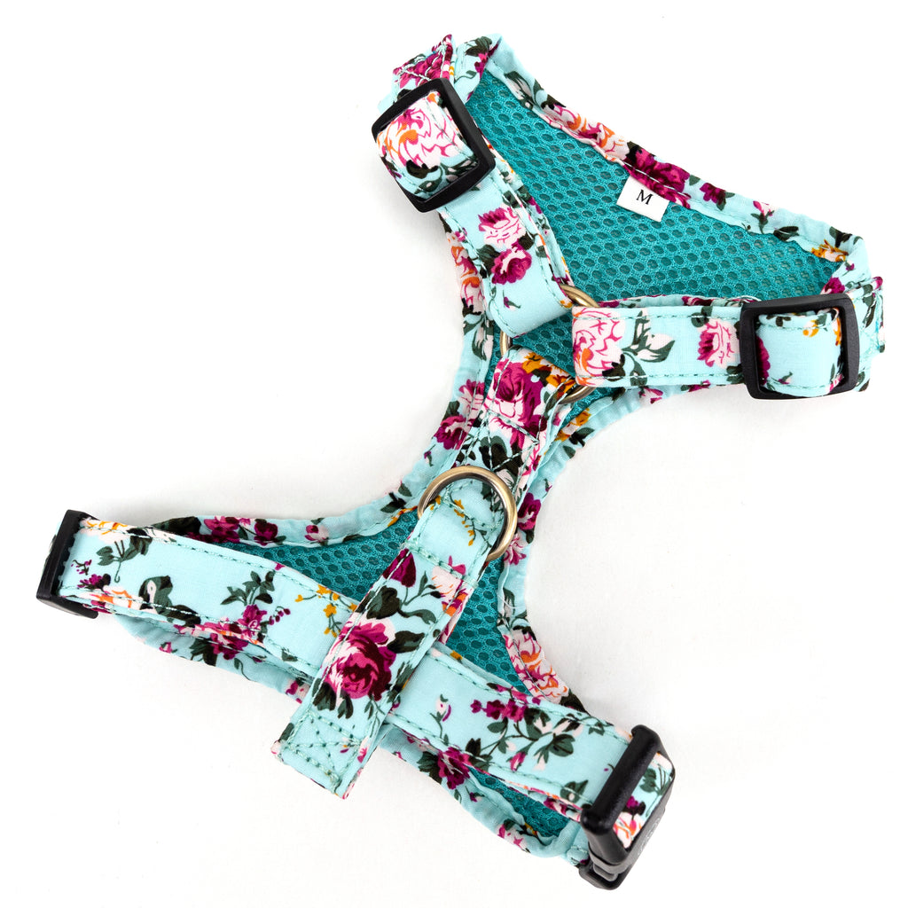 100% Cotton Adjustable No Pull Dog Harness Brass Bouquet Blue back