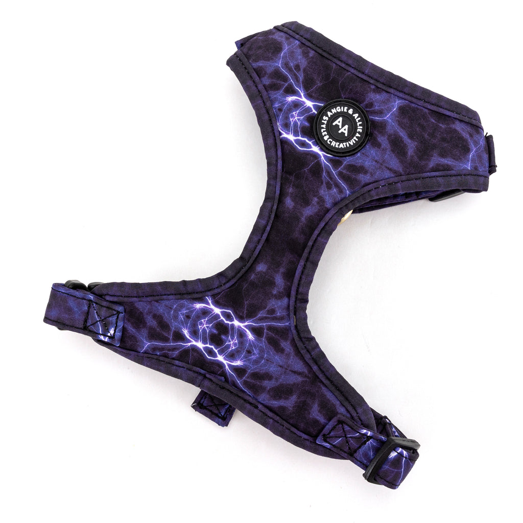 100% Cotton Adjustable No Pull Dog Harness Brass Aurora main