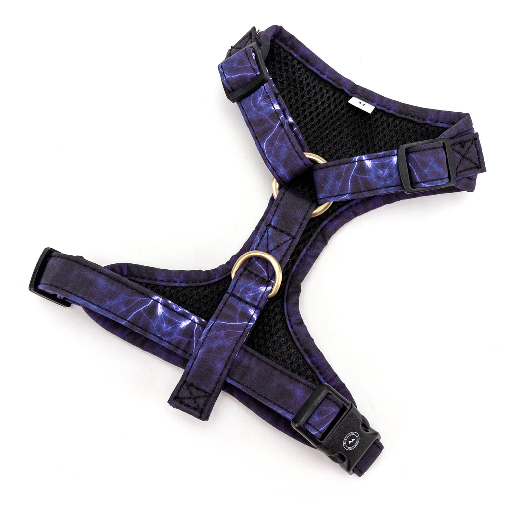 100% Cotton Adjustable No Pull Dog Harness Brass Aurora back