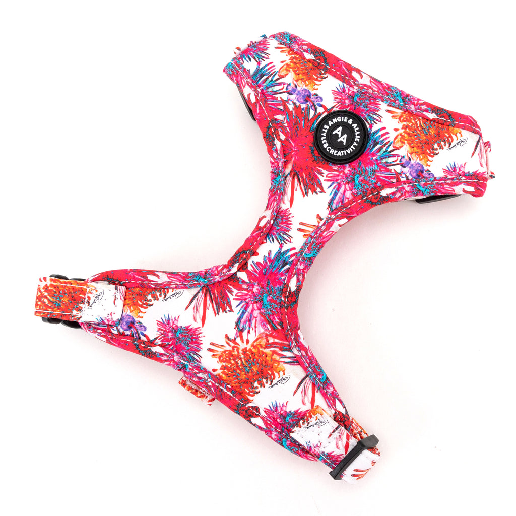 100% Cotton Adjustable No Pull Dog Harness Brass Blooms main