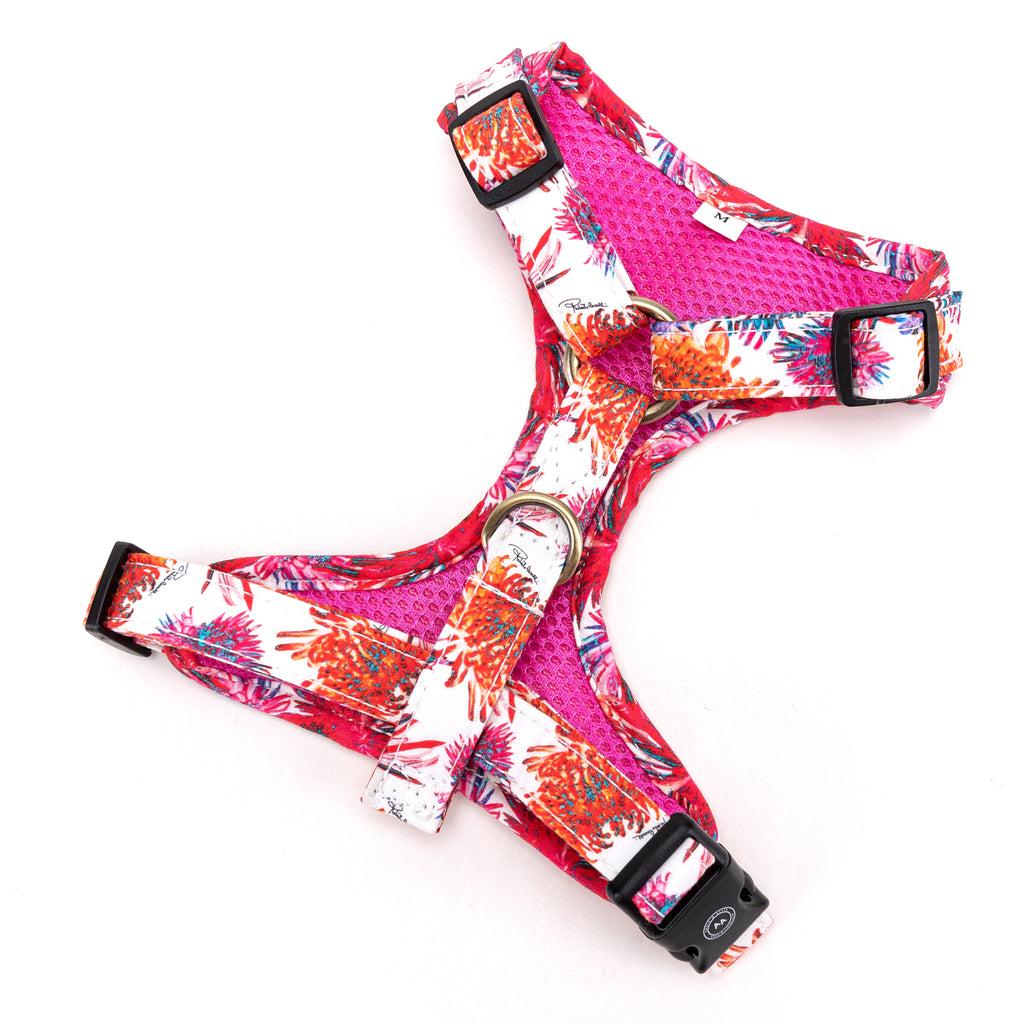 100% Cotton Adjustable No Pull Dog Harness Brass Blooms back