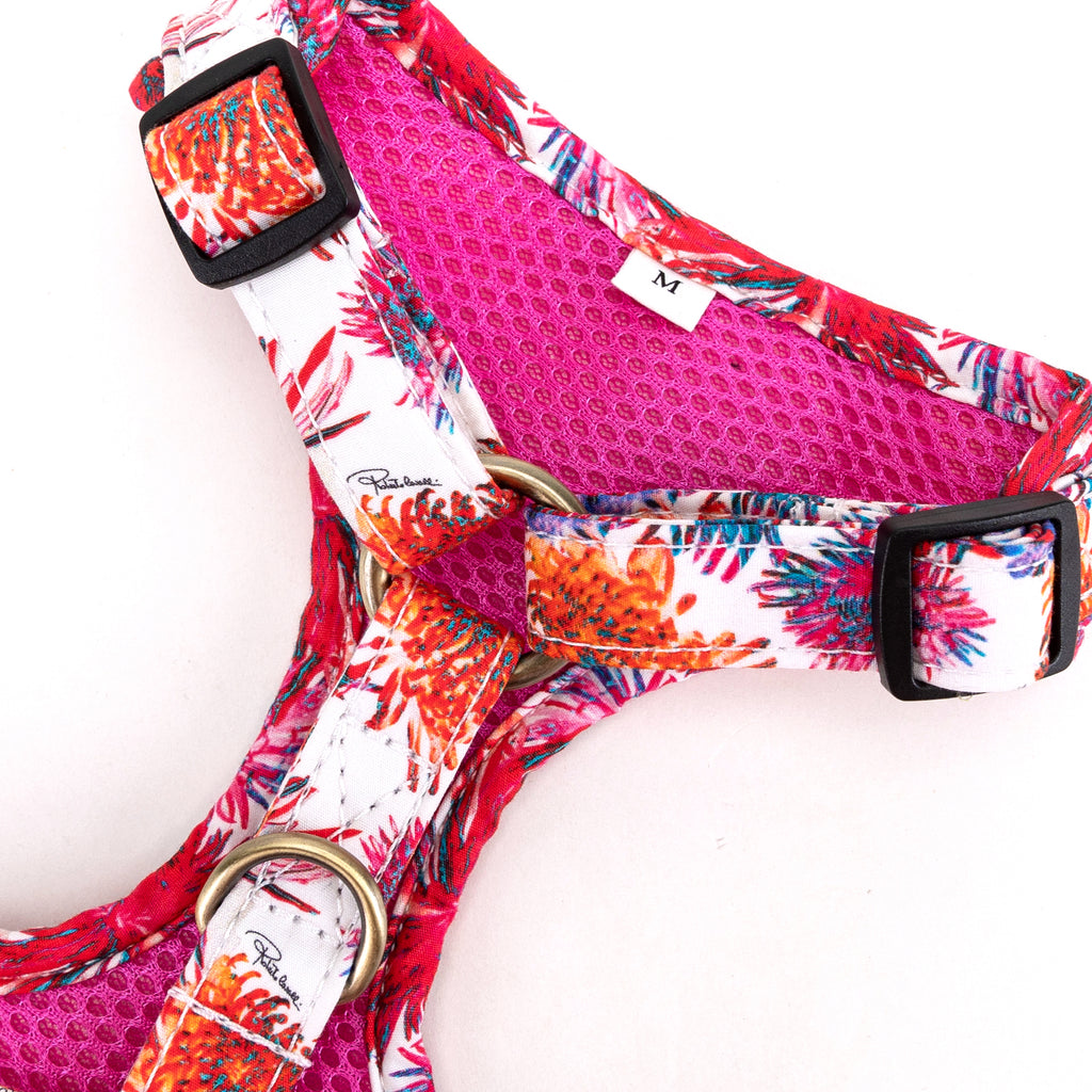 100% Cotton Adjustable No Pull Dog Harness Brass Blooms hardware