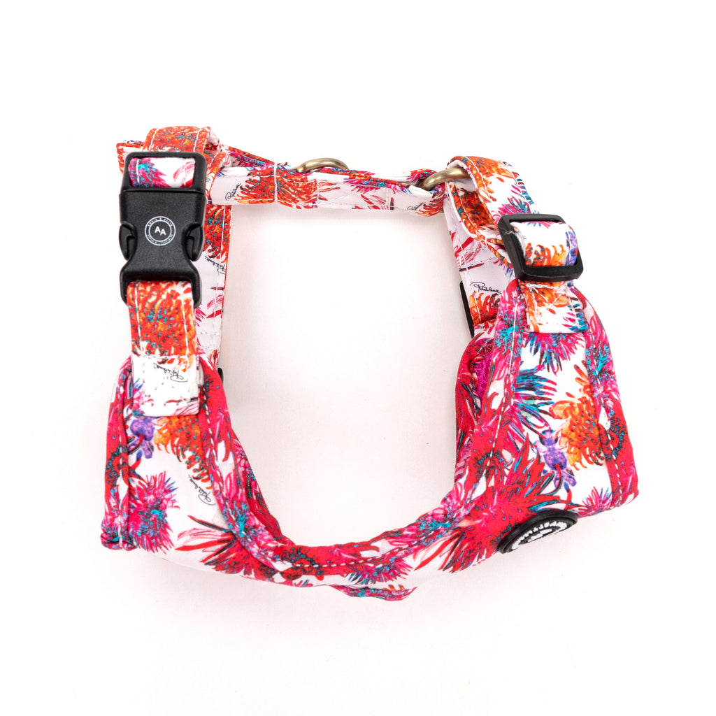 100% Cotton Adjustable No Pull Dog Harness Brass Blooms side