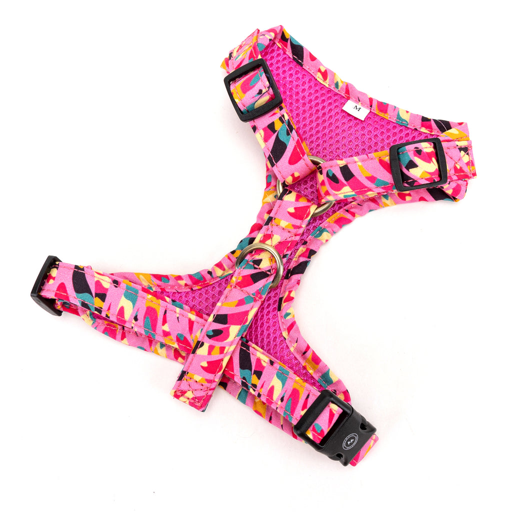 100% Cotton Adjustable No Pull Dog Harness Brass Zebra back