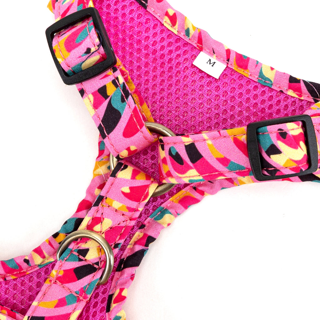 100% Cotton Adjustable No Pull Dog Harness Brass Zebra hardware