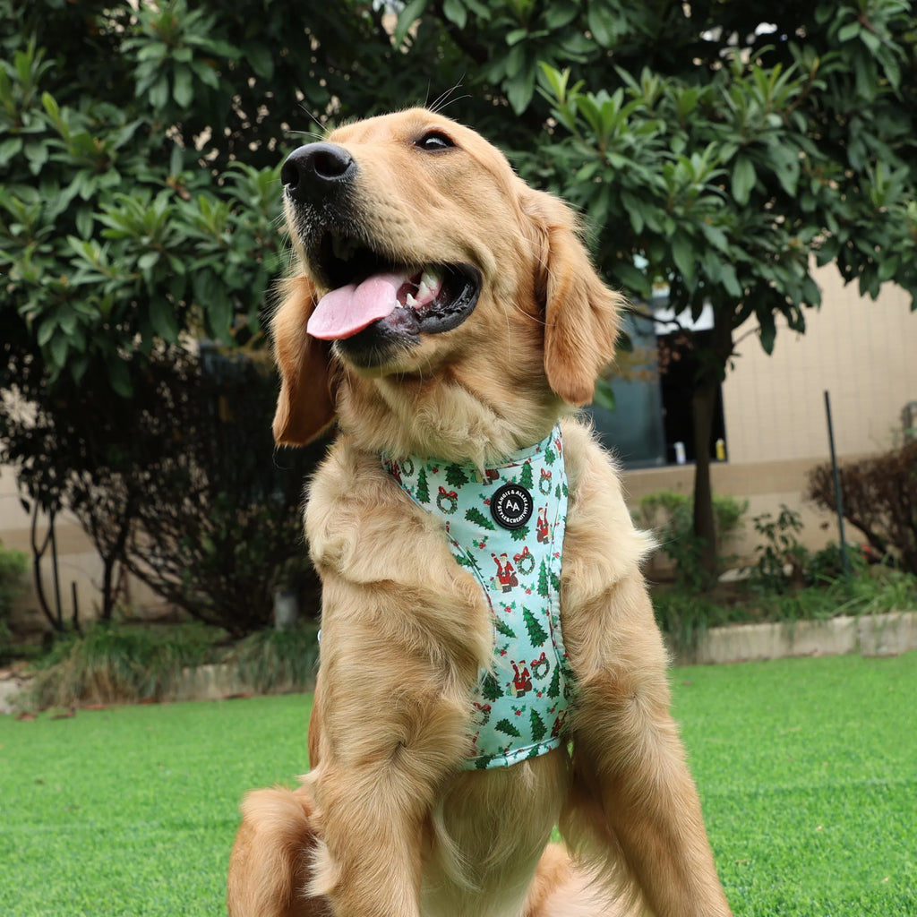 100% Cotton Adjustable No Pull Dog Harness Silver Santa Claus dog shows the front side of the harness