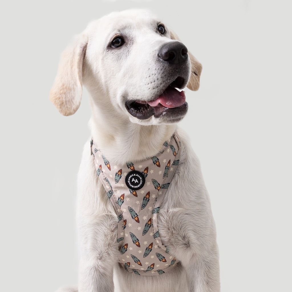 100% Cotton Adjustable No Pull Dog Harness Silver Retro Rocket dog wears the harness front