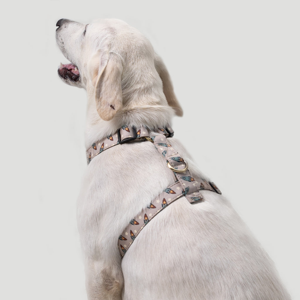 100% Cotton Adjustable No Pull Dog Harness Silver Retro Rocket dog wears the harness back