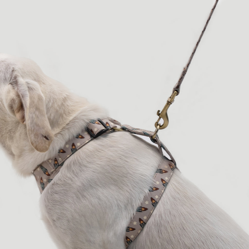 100% Cotton Adjustable No Pull Dog Harness Silver Retro Rocket dog wears the harness side