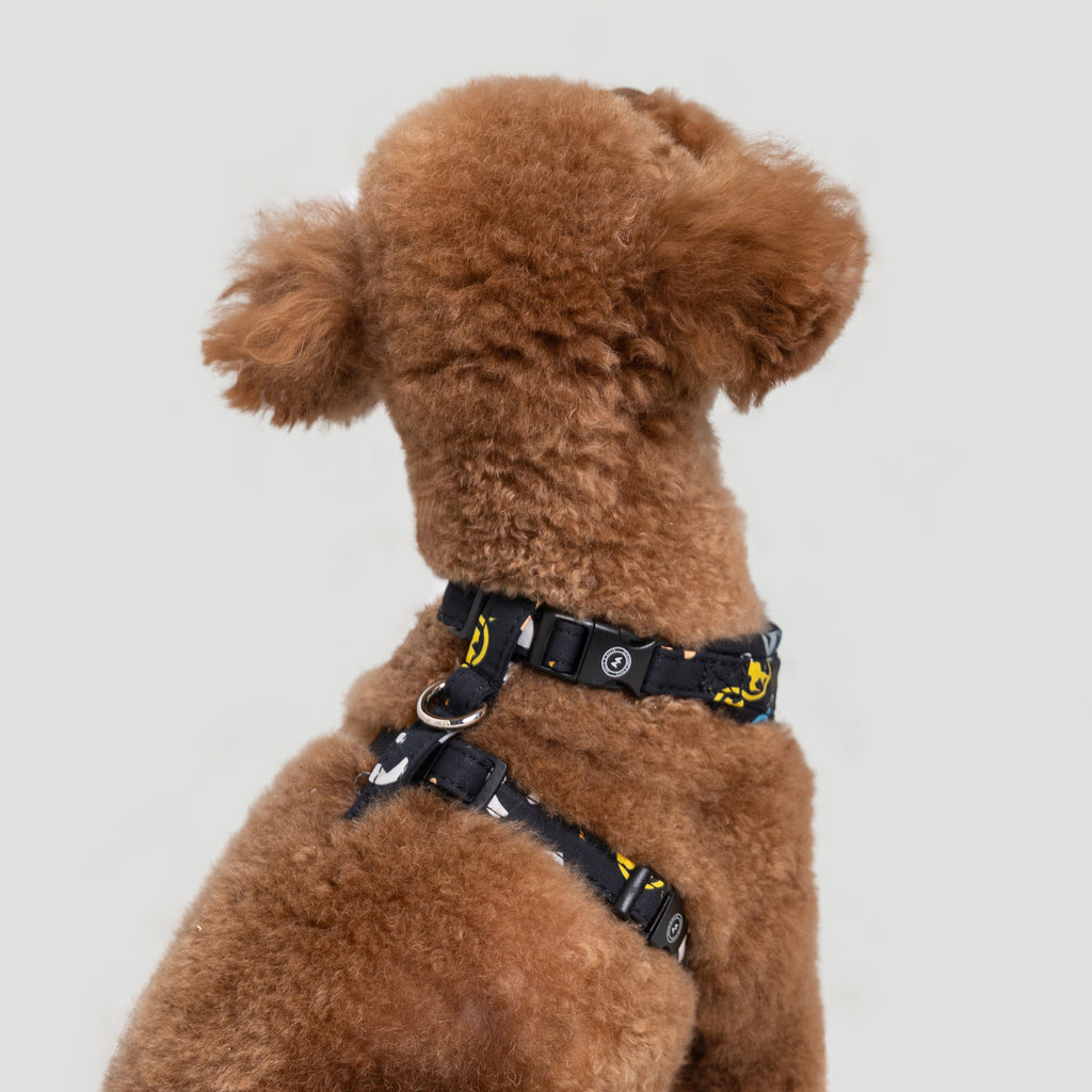 100% Cotton Adjustable No Pull Dog  Harness Silver Hunger games dog wears the harness back