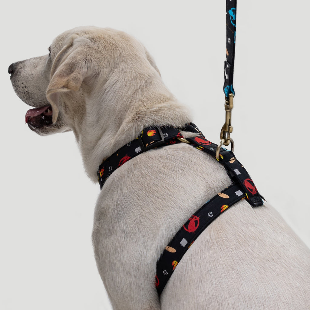 100% Cotton Adjustable No Pull Dog  Harness Silver Hunger games dog wears the harness side