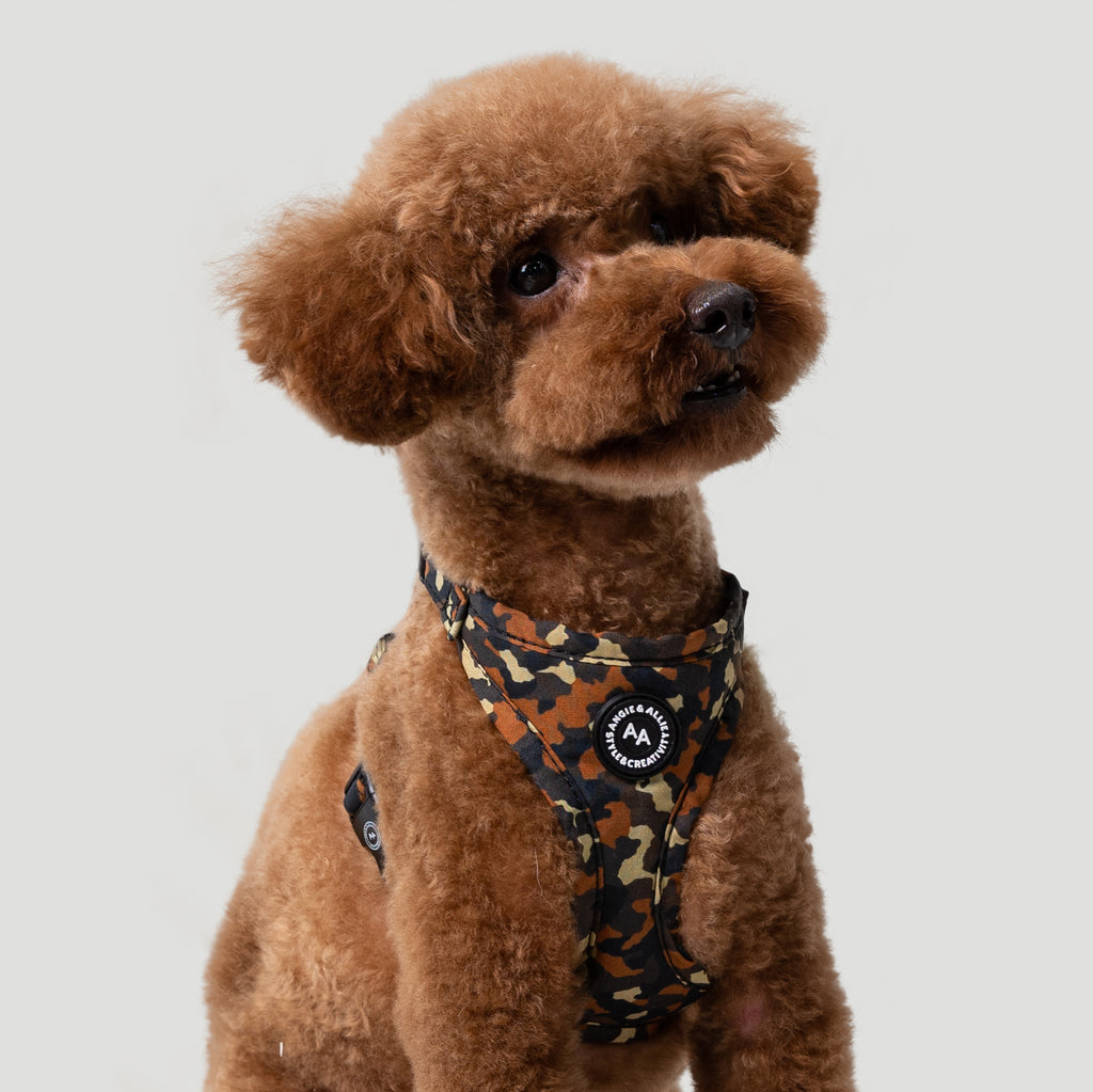 100% Cotton Adjustable No Pull Dog Harness Silver Camo dog wears the hatness front