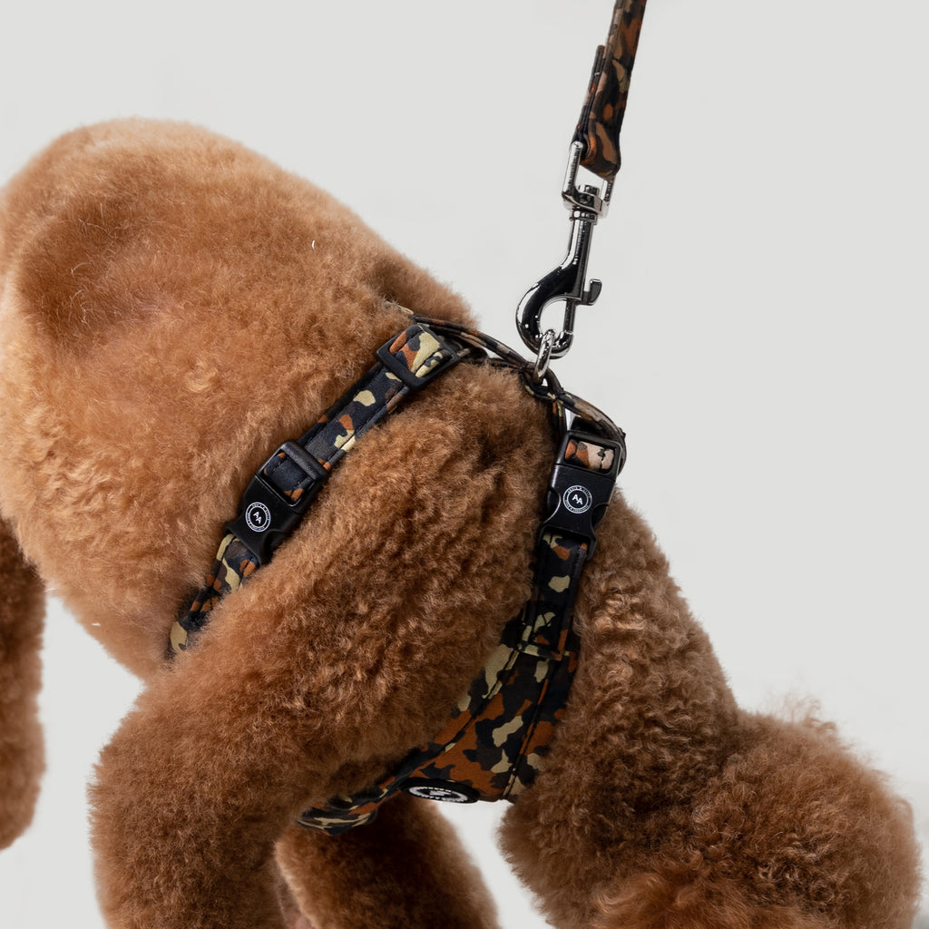 100% Cotton Adjustable No Pull Dog Harness Silver Camo dog wears the hatness side