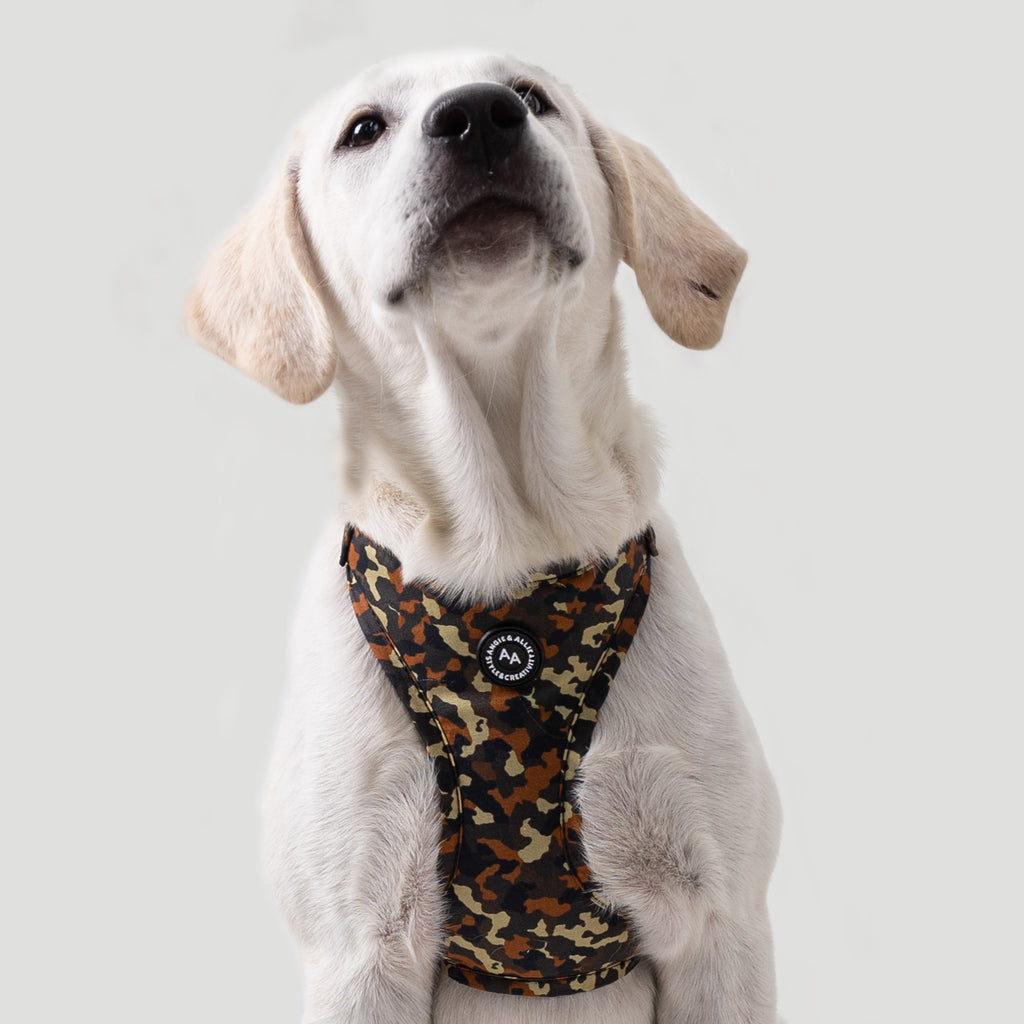 100% Cotton Adjustable No Pull Dog Harness Silver Camo dog wears the hatness front