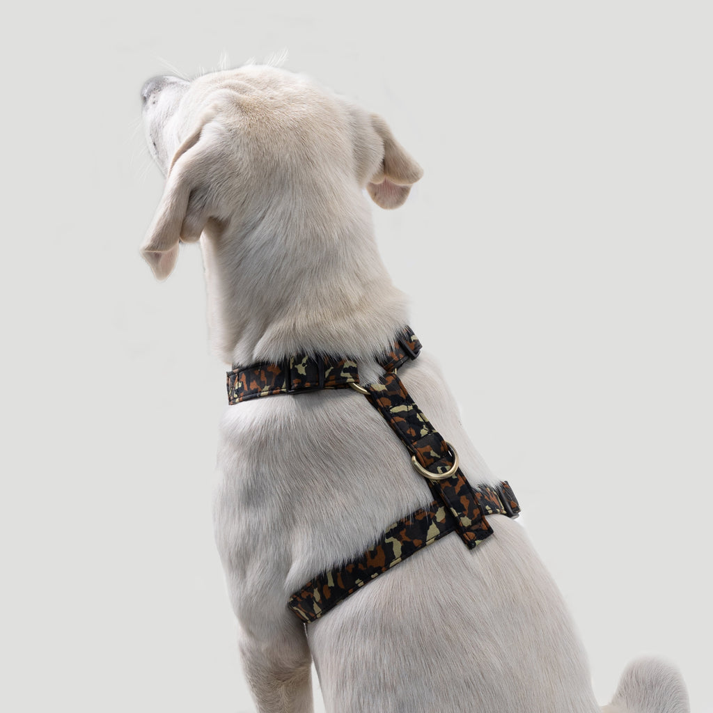 100% Cotton Adjustable No Pull Dog Harness Silver Camo dog wears the hatness back