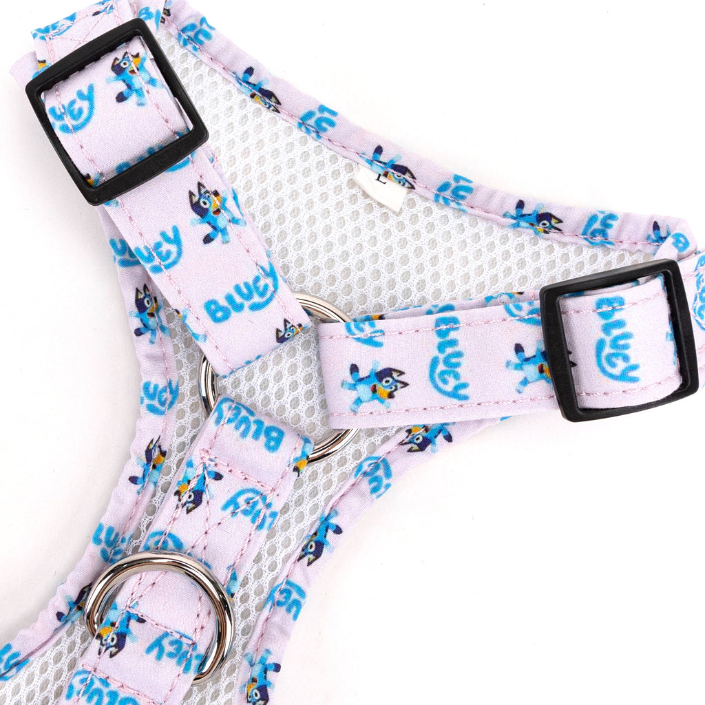 100% Cotton Adjustable No Pull Dog Harness Silver  Bluey hardware