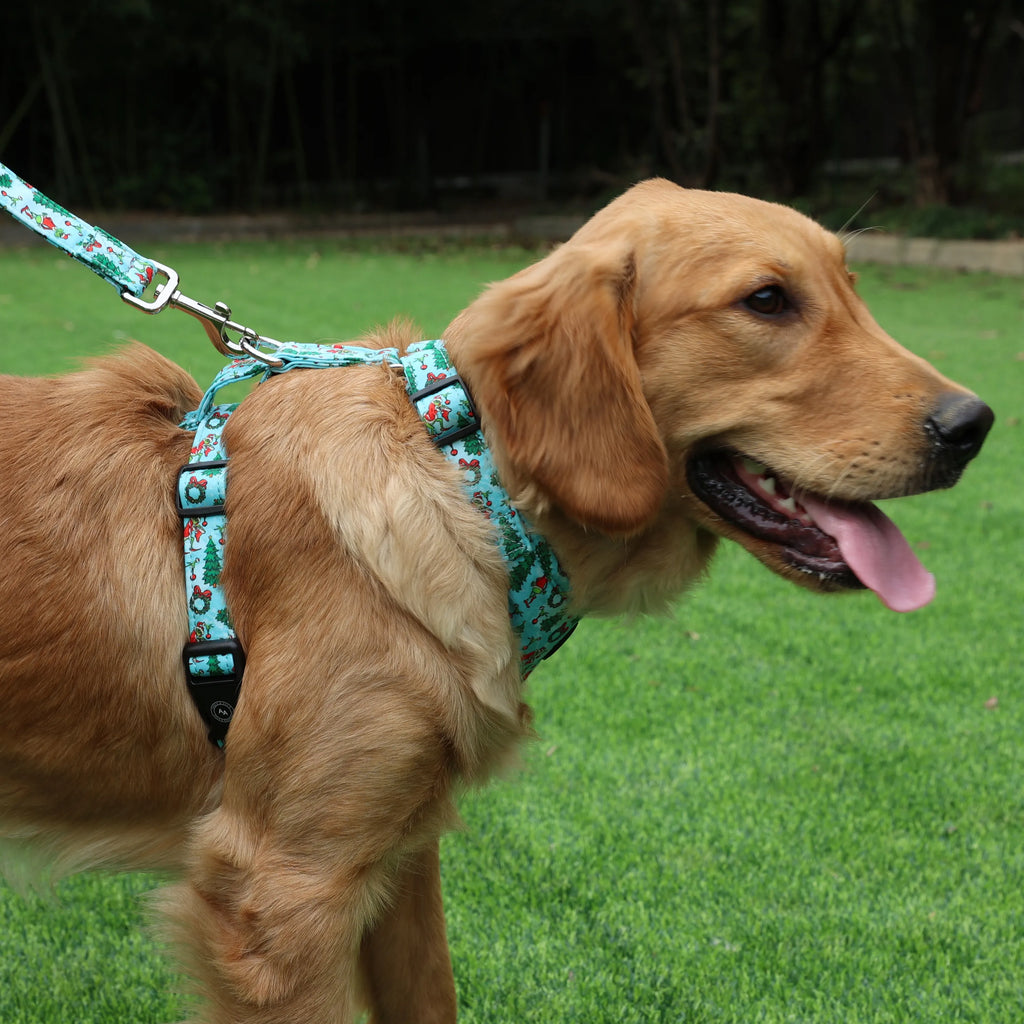 100% Cotton Adjustable No Pull Dog Harness Silver The Grinch dog shows the side of the harness