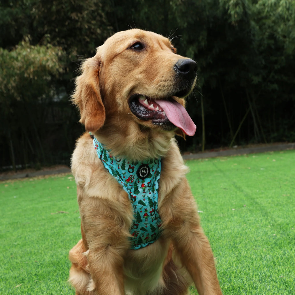 100% Cotton Adjustable No Pull Dog Harness Silver The Grinch dog shows the front side of the harness