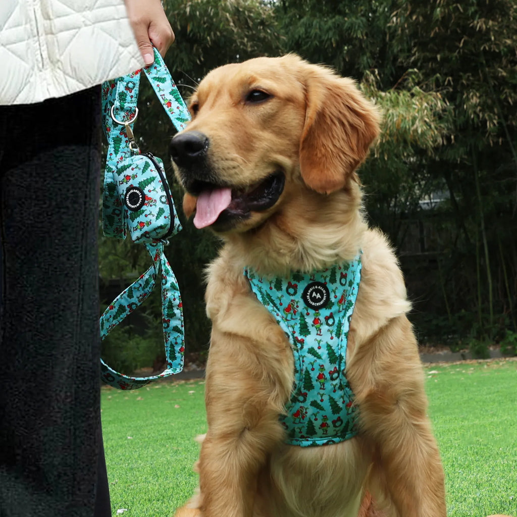 100% Cotton Adjustable No Pull Dog Harness Silver The Grinch dog shows the set of the harness also including a leash and a poop bag holder