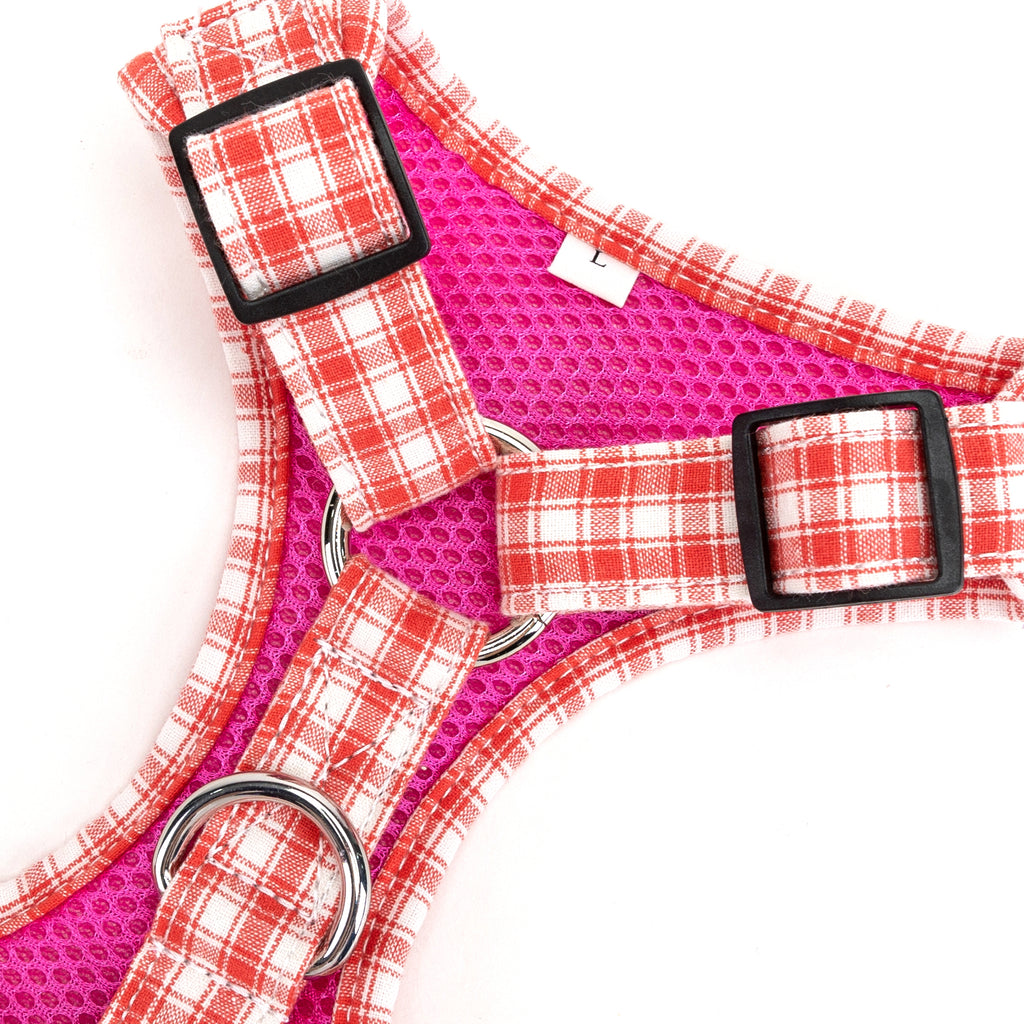 100% Cotton Adjustable No Pull Dog Harness Silver  Gingham Orange  buckle