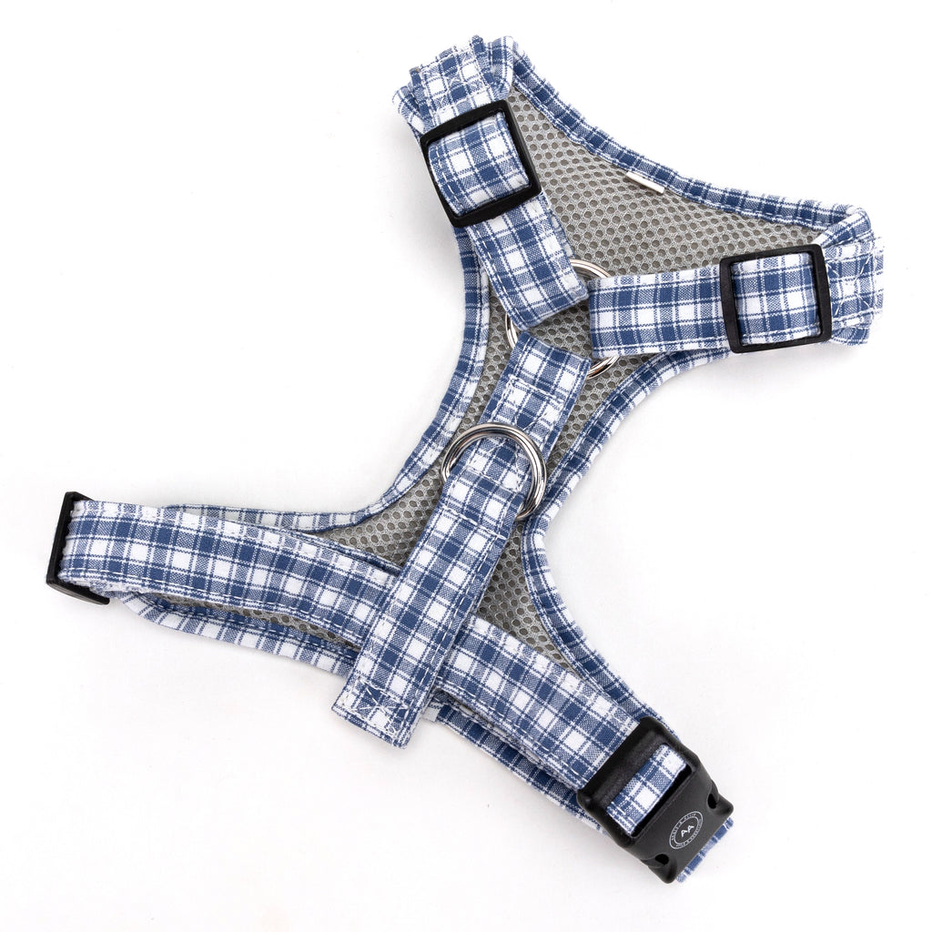 100% Cotton Adjustable No Pull Dog Harness Silver   Gingham Blue back