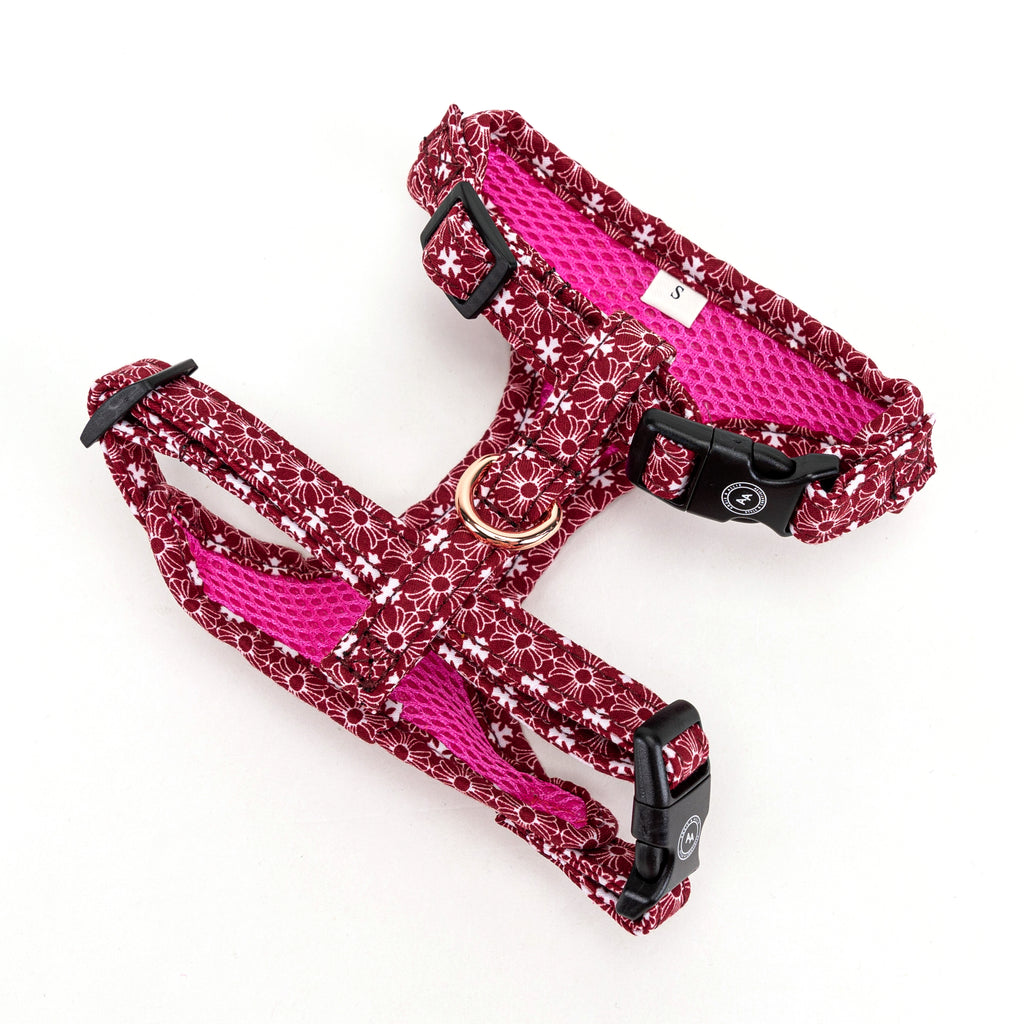Chrome Hearts Dog Collar In Red back
