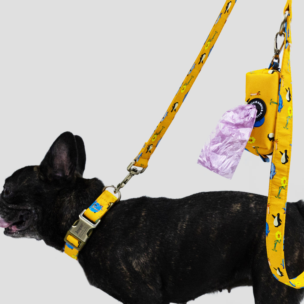 100% Cotton Personalized Dog Collar Engraved Rose Gold Oswald dog wears the collar with a leash side