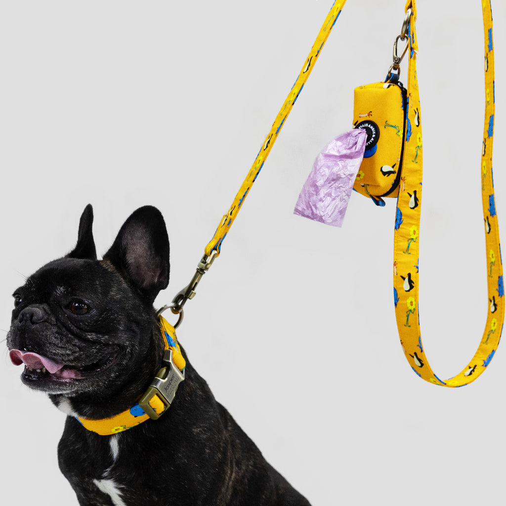 100% Cotton Personalized Dog Collar Engraved Rose Gold Oswald dog wears the collar with a leash and a pooh bag main