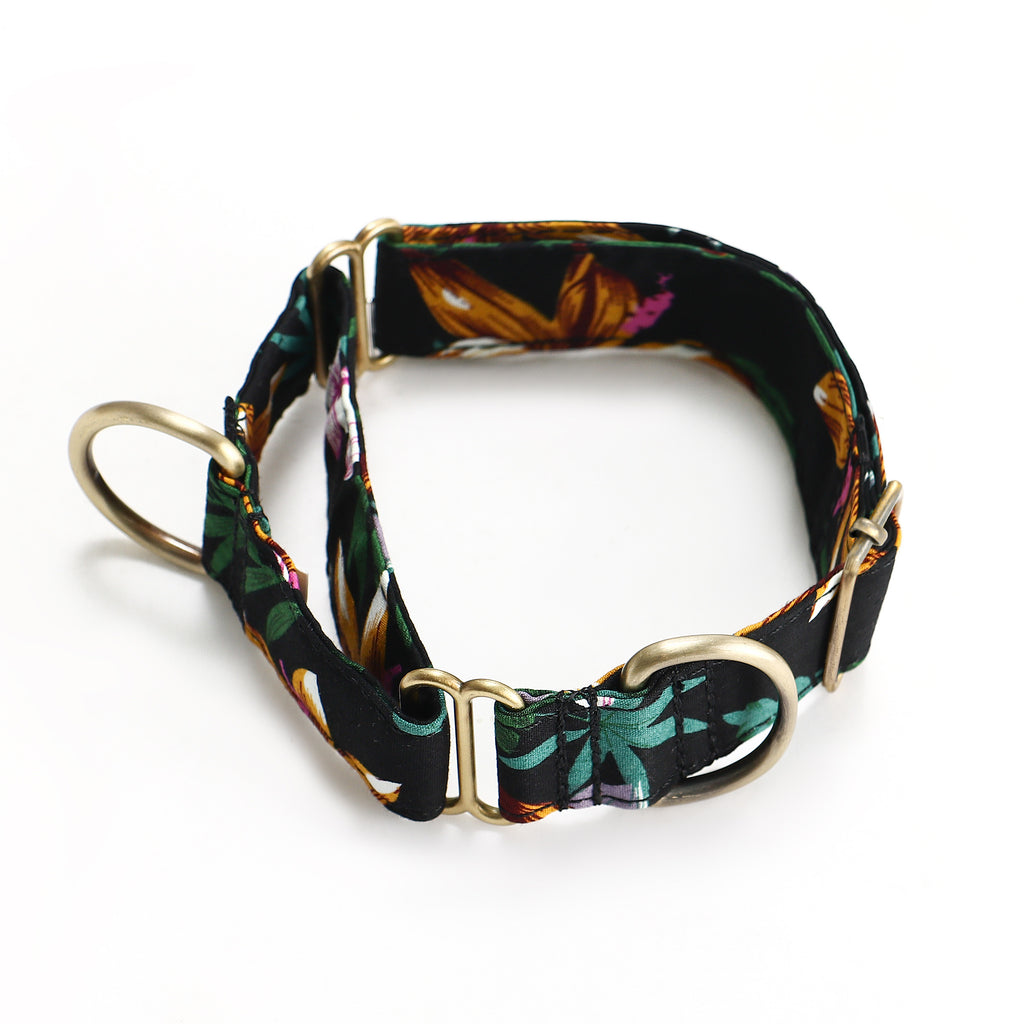 100% Cotton Martingale Dog Collar Brass  Tropical Night main