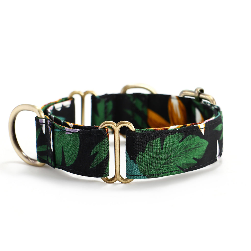 100% Cotton Martingale Dog Collar Brass  Tropical Night side