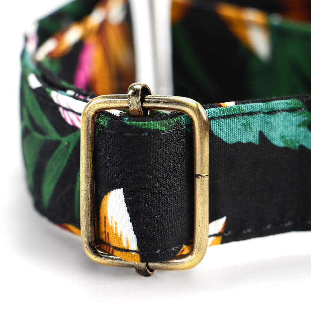 100% Cotton Martingale Dog Collar Brass  Tropical Night hardware