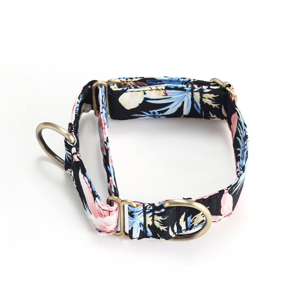 100% Cotton Martingale Dog Collar Brass  Tropical Pinky main