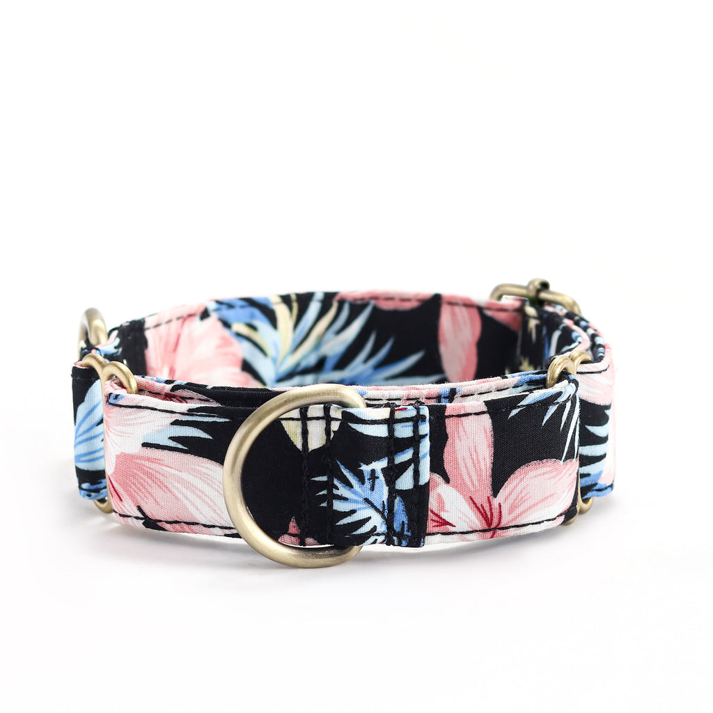 100% Cotton Martingale Dog Collar Brass  Tropical Pinky front