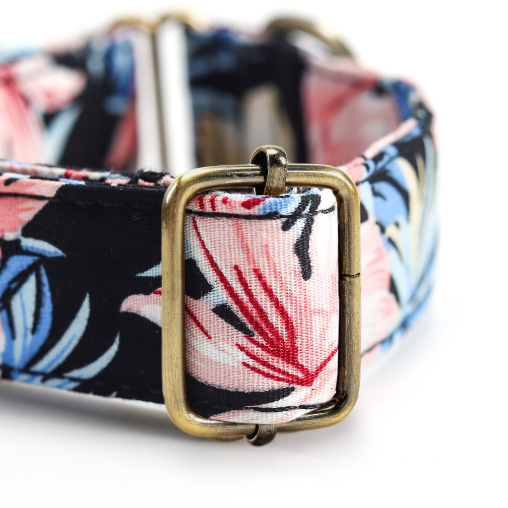 100% Cotton Martingale Dog Collar Brass  Tropical Pinky hardware