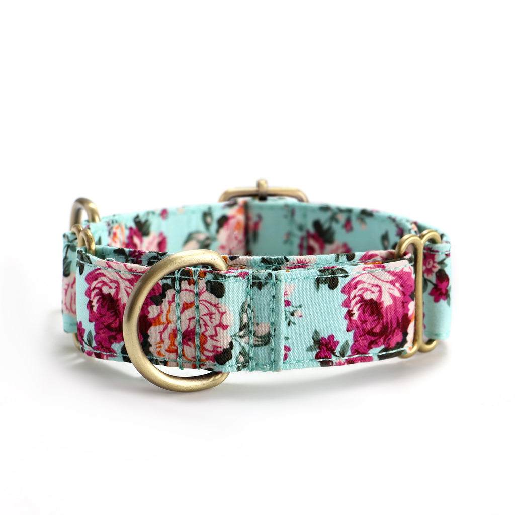 100% Cotton Martingale Dog Collar Brass Bouquet Blue front