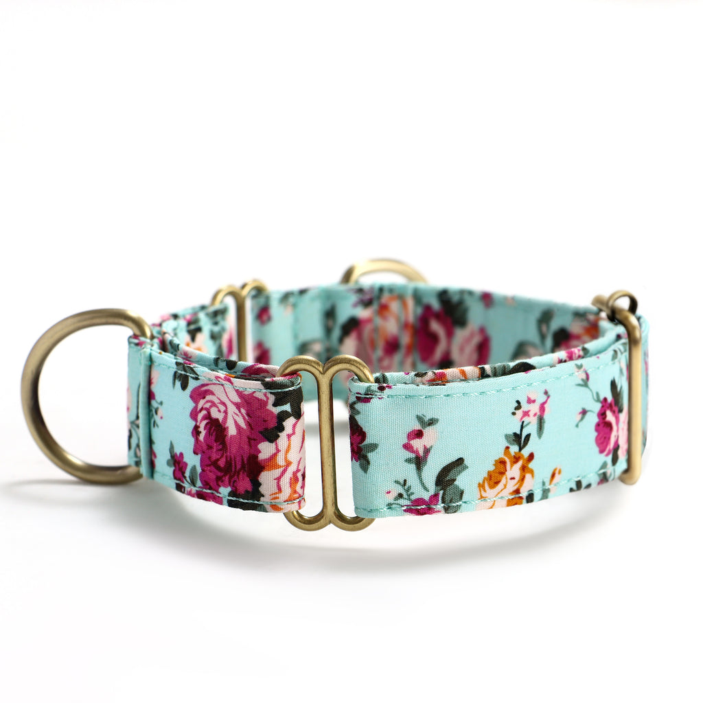 100% Cotton Martingale Dog Collar Brass Bouquet Blue side