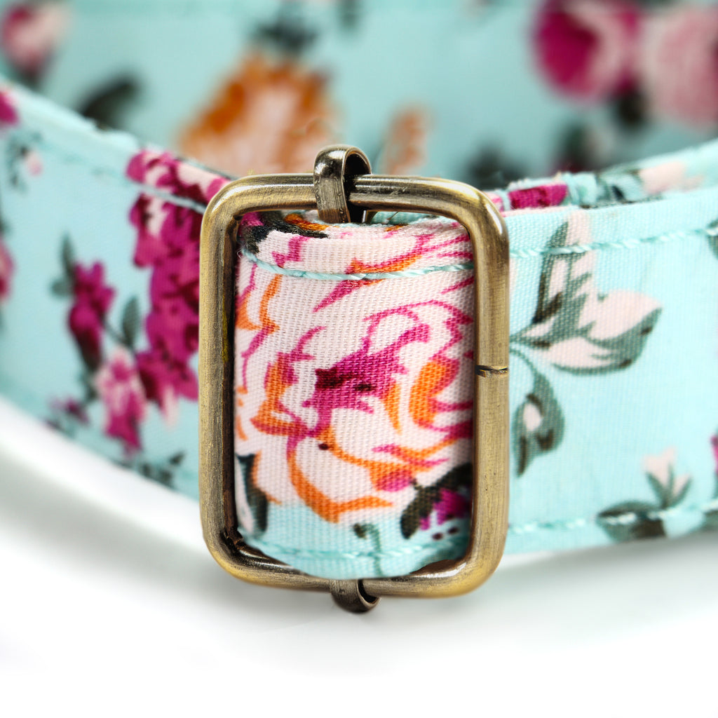 100% Cotton Martingale Dog Collar Brass Bouquet Blue hardware