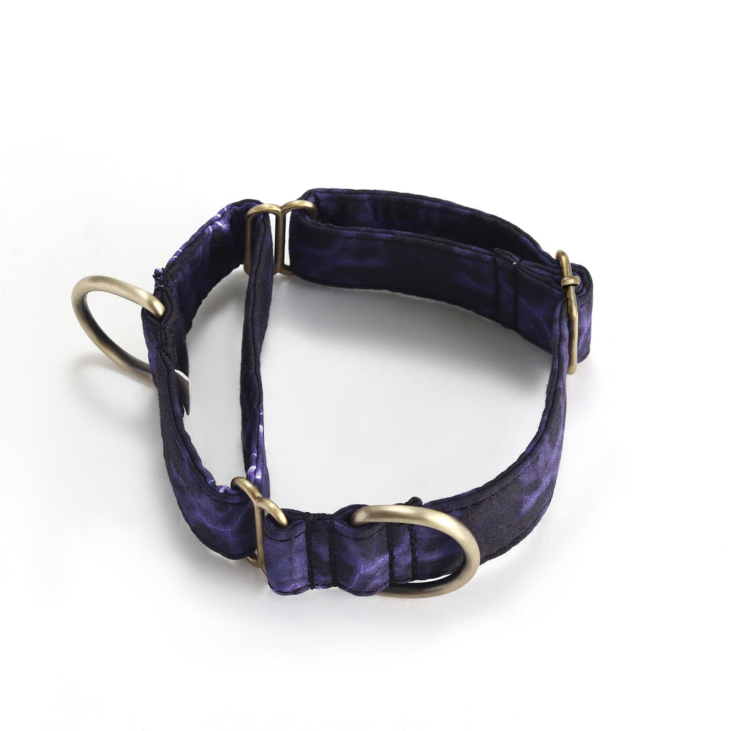 100% Cotton Martingale Dog Collar Brass  Aurora main