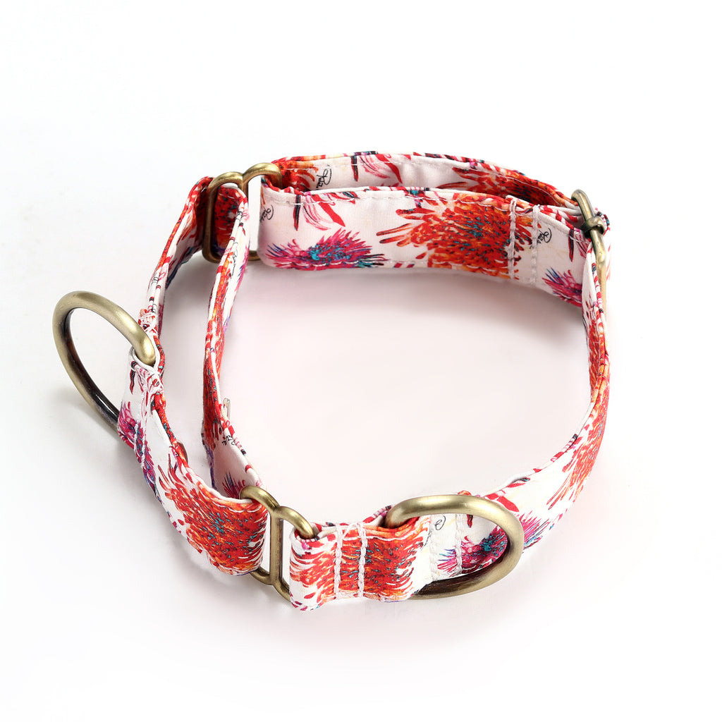 100% Cotton Martingale Dog Collar Brass  Blooms main
