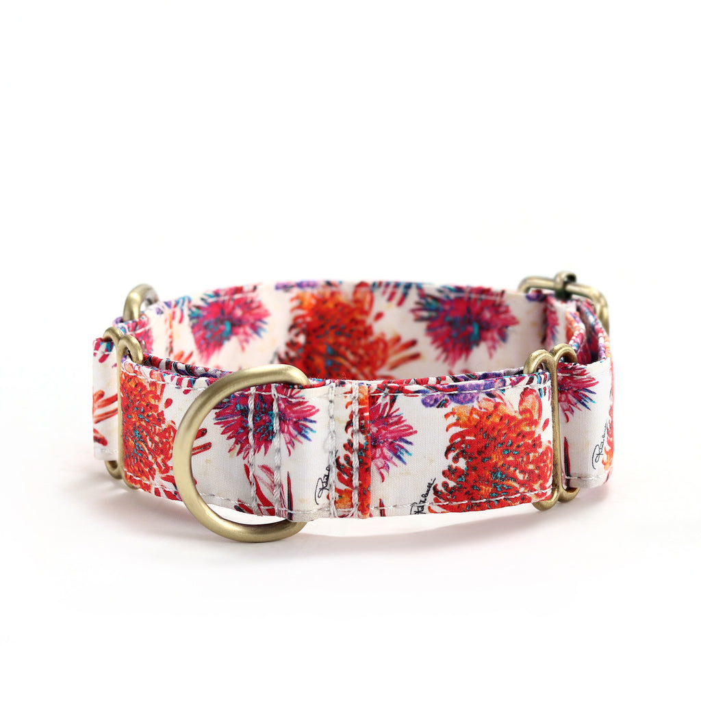 100% Cotton Martingale Dog Collar Brass  Blooms front