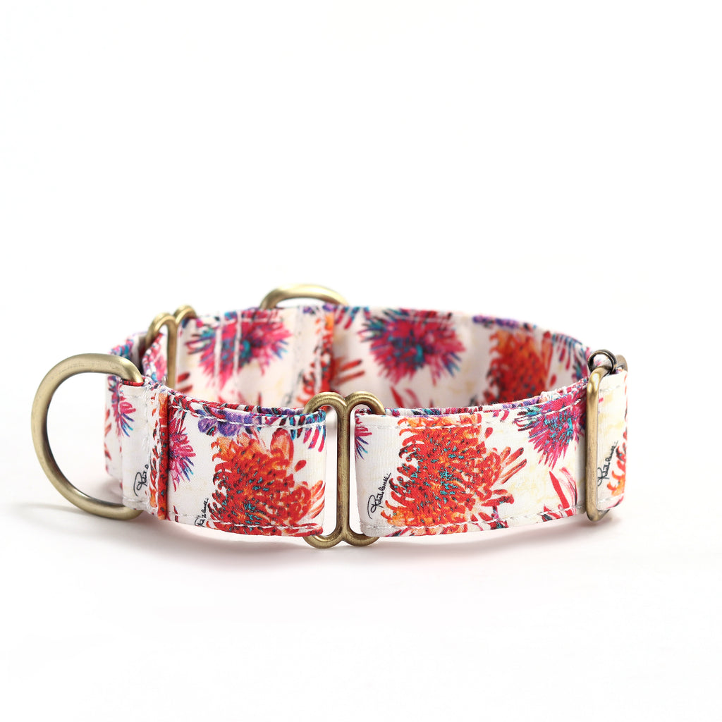 100% Cotton Martingale Dog Collar Brass  Blooms side
