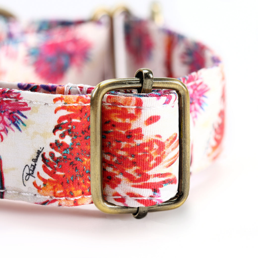 100% Cotton Martingale Dog Collar Brass  Blooms hardware