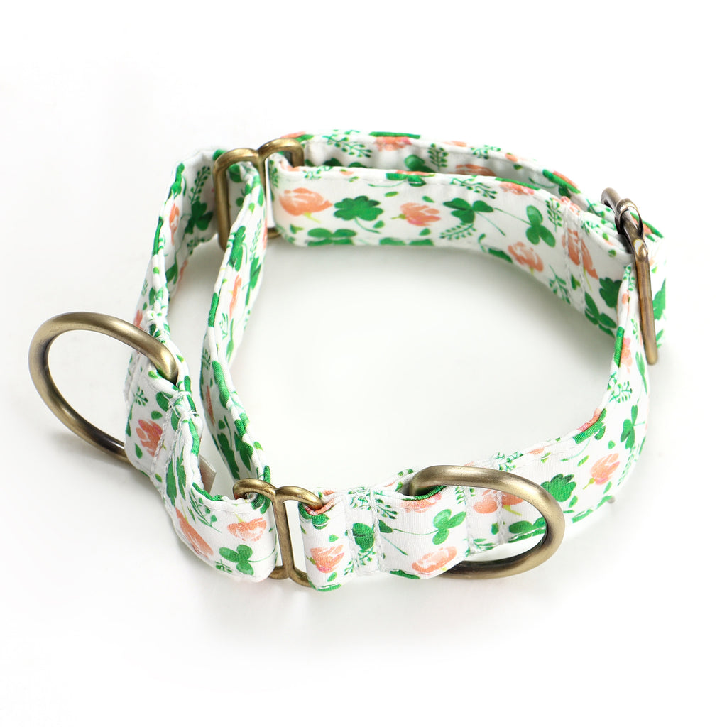 100% Cotton Martingale Dog Collar Brass Clovers main