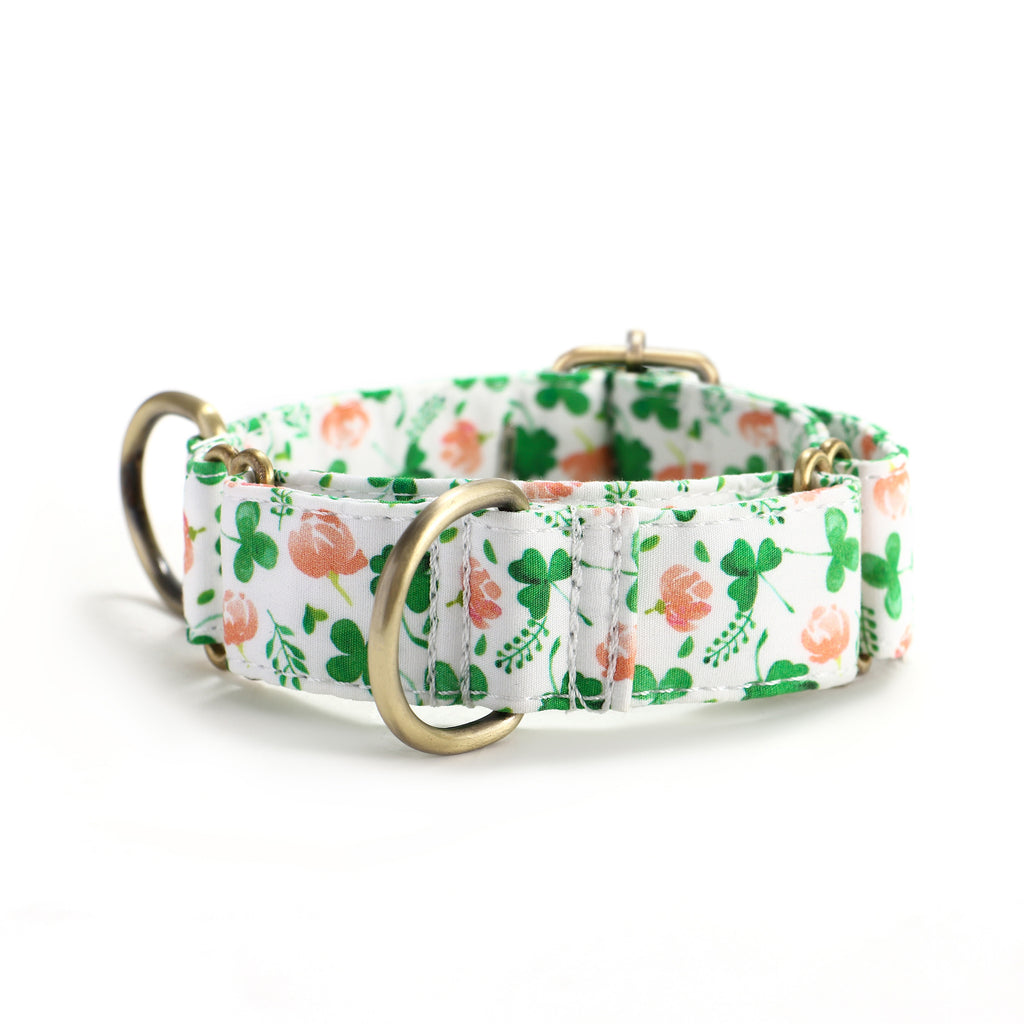 100% Cotton Martingale Dog Collar Brass Clovers side